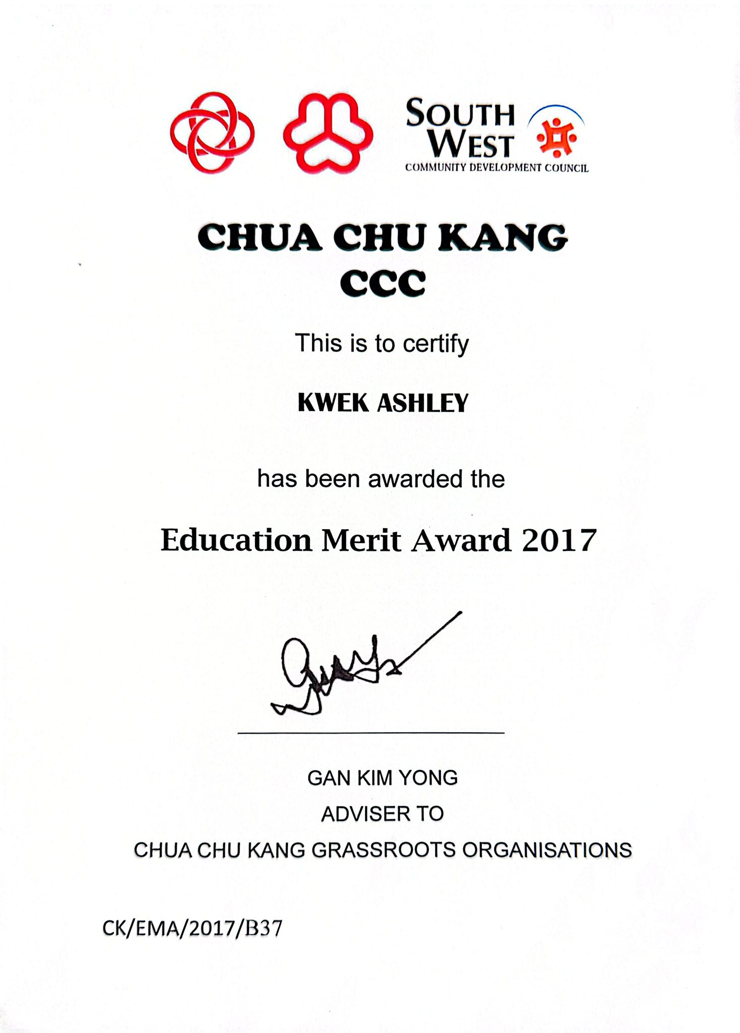 Education Merit Award 2017 certificate